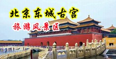 抽插美女日韩中国北京-东城古宫旅游风景区